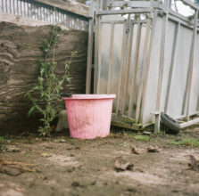 From 'Daughters of the Soil' © Joanne Coates