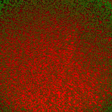 Mischling I, 2019-2021. Duratrans lightbox made using miscroscope photographs of blood. 45 x 45cm. © Sara Davidmann