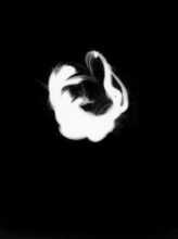 My name is Sara IV, 2018. Hand-printed photogram on resin-coated paper made using the artist’s hair - a plait that had been kept from her childhood. © Sara Davidmann
