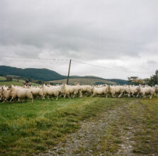 From 'Daughters of the Soil' © Joanne Coates