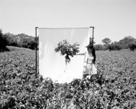 Artist's Sister Amongst the Image - Alexander Mourant - 2020