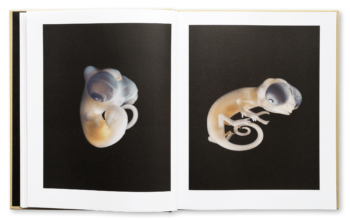 Hulda / Lill, 2023 © Maija Tammi