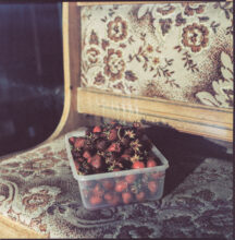 Nothing but a Curtain © Zula Rabikowska