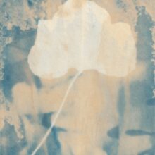 Marie Smith, Extraction: In Conversation with Anna Atkins (2023) (detail)