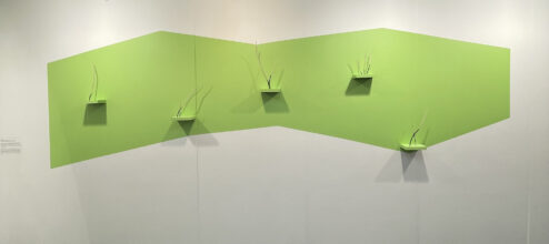Rowan Lear, a sudden branching, untitled I, II, III, IV, V (2021)