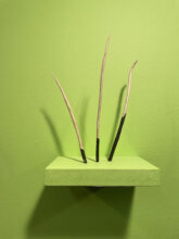 Rowan Lear, a sudden branching, untitled I, II, III, IV, V (2021) (detail)