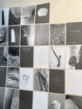 Tamsin Green, A walk with natural features (2023)