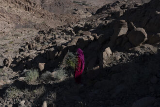 Keepers Of The Land © Rehab Eldalil