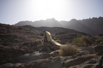 Keepers Of The Land © Rehab Eldalil