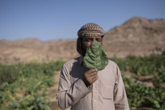 Keepers Of The Land © Rehab Eldalil
