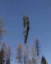 Matteo de Mayda, A helicopter removes a fallen tree from a path near Digonera. Digonera (Belluno), 2020 ©Matteo de Mayda - There’s no calm after the storm (2019-2023)