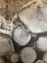 Helen Sear, 'Stack 2', detail of installation 'Within Sight' in Chiostro di San Pietro