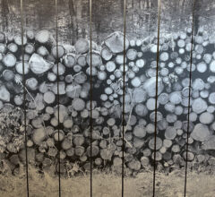 Helen Sear, 'Stack 2', detail of installation 'Within Sight' in Chiostro di San Pietro