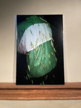Michele Sibiloni, detail from installation 'Nsenene', Chiostro di San Pietro