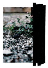 Brandenburg: Redaction 5 © Richard Wood