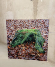Helen Sear, 'Base 2', part of 'Within Sight', detail of installation in Chiostro di San Pietro