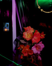 Samantha Box. Portal, 2022. From the series, Caribbean Dreams © Samantha Box