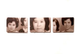 You Liang, Pale Spring Age © You Liang